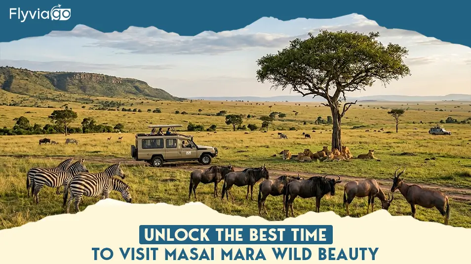 Unlock the Best Time to Visit Masai Mara Wild Beauty Flyviago